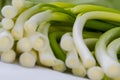 Leeks or green onions Royalty Free Stock Photo