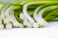 Leeks or green onions Royalty Free Stock Photo