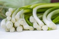 Leeks or green onions Royalty Free Stock Photo