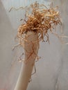 LEEKS HAVE SHORT FIBERED ROOTS.  AND IT DOES NOT HAVE A TIP ROOT. Royalty Free Stock Photo