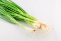 Leeks isolaated Royalty Free Stock Photo