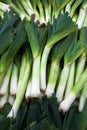 Leeks at the Market Royalty Free Stock Photo