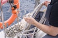 Leer sheets on a yacht. Close up of striped sheet. the sheets are weighed on the yacht rails