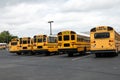 Yellow School Buses are parked in a row in a special parking lot near the school Royalty Free Stock Photo
