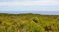 Leeuwin-Naturaliste National Park: Ocean Views
