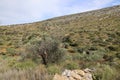 Hiking trail at the mountain village of Lefkes-Greece Royalty Free Stock Photo