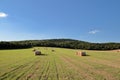 .Bales of wheat.