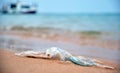 Left behind plastic bag garbage on sandy beach. Empty used dirty litter on sea shore. Environmental pollution Royalty Free Stock Photo