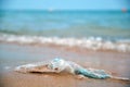 Left behind plastic bag garbage on sandy beach. Empty used dirty litter on sea shore. Environmental pollution Royalty Free Stock Photo