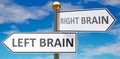 Left brain and right brain as different choices in life - pictured as words Left brain, right brain on road signs pointing at