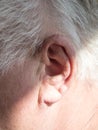 Left ear of a gray-haired elderly man with hearing loss, hearing problems, the concept of rehabilitation of old deaf people