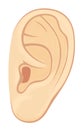 Left ear of man or woman. Illustration with volume elements. Isolated on a white background