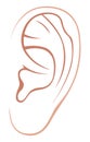 Left ear of man or woman. Line art Illustration. Isolated on a white background