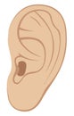 Left ear of man or woman. Line art Illustration. Isolated on a white background