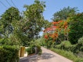 view along a small country road in northern Thailand Royalty Free Stock Photo