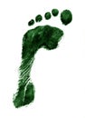 Left foot print green Royalty Free Stock Photo