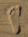 Left foot print on yellow sand Royalty Free Stock Photo
