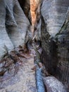 Left Fork North Creek