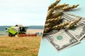 On the left is a grain harvester working in a wheat field, on the right are wheat ears and dollars on a pale blue-green background Royalty Free Stock Photo