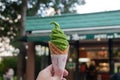 Left hand holding Green tea matcha flavour soft serve ice cream