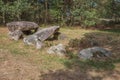 Left hand side view of Dolmen D35 Royalty Free Stock Photo