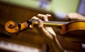 Left hand of a young violinist holding the fretboard while playing violins, goizontal