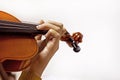 left hand of a young violinist on the strings on a student\'s violin on a light background. Musical education Royalty Free Stock Photo