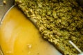 Left-Overs of Hops and Essential Oils of the mash Royalty Free Stock Photo