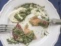 Left overs of mozzarella salad with pesto sauce Royalty Free Stock Photo