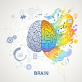 Left Right Brain Concept Royalty Free Stock Photo