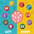 Left and right brain