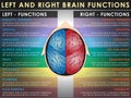 Left and right brain functions