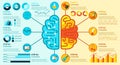 Left And Right Brain Infographics