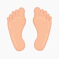 Left and right foot soles illustration for footwear, shoe concepts, medical, health, massage, spa, acupuncture centers etc. Realis Royalty Free Stock Photo