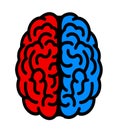 Left and Right hemisphere of brain