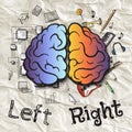 The left and right hemispheres of the brain. Royalty Free Stock Photo