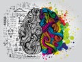 Left and right human brain. Creative half and logic half of human mind. Vector illustration. Royalty Free Stock Photo