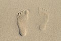 Left and right human footprints in light, yellow sand. Royalty Free Stock Photo