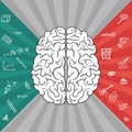 Left and right parts of brain Royalty Free Stock Photo