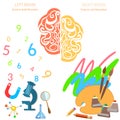 Left and right side of the brain logic and creativity education Royalty Free Stock Photo