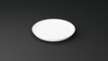 Left Side View Medium 3D Illustration White Marble Plate on a Black Background Isolated