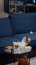 Leftover of pizza empty beer bottles and napkins on table in messy living room Royalty Free Stock Photo