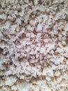 Leftover rice dried by drying in the sun Royalty Free Stock Photo