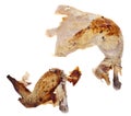 Leftover Roasted Chicken Royalty Free Stock Photo