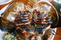 leg and belly shell of upside down grilled horseshoe crab , Thai local seafood , The horseshoe crab eggs are cook Royalty Free Stock Photo