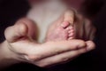 Hand holds the baby`s leg Royalty Free Stock Photo