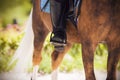 Leg rider in the stirrup, sitting astride a horse