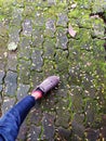 Leg with shoes fallen leaf and bricks Royalty Free Stock Photo