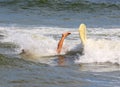 Leg sticking out of the water after a surfer falls of surboard while surfing Royalty Free Stock Photo