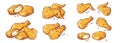 Leg wings and nuggets Fried Chicken Isolated Set Royalty Free Stock Photo